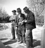 Bönder i Alsódabas. Orten heter idag Dabas. Tjeckoslovakien-Ungern-Österrike 1935.