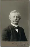 Kabinettsfotografi - organist Axel Ahlberg, Uppsala 1909