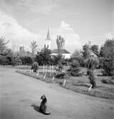 Kyrkan i Alsódabas. Orten heter idag Dabas. Tjeckoslovakien-Ungern-Österrike 1935.