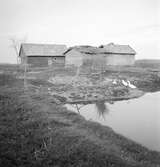 Hus i Örkény? Tjeckoslovakien-Ungern-Österrike 1935.