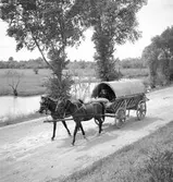 I Tiszafüred. Tjeckoslovakien-Ungern-Österrike 1935.