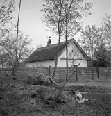 I Tiszafüred. Tjeckoslovakien-Ungern-Österrike 1935.