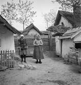 Kvinnor i Tiszafüred. Tjeckoslovakien-Ungern-Österrike 1935.
