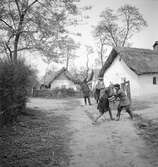 Lekande barn i Tiszafüred. Tjeckoslovakien-Ungern-Österrike 1935.