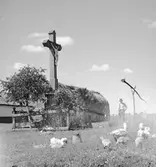 Ett krucifix i Ungern. Tjeckoslovakien-Ungern-Österrike 1935.