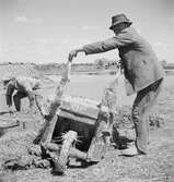 Tillverkning av lertegel. Avstjälpning av lera. Ungern. Tjeckoslovakien-Ungern-Österrike 1935.
