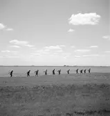 Jordbruksarbete i Ungern. Tjeckoslovakien-Ungern-Österrike 1935.