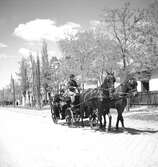 Häst med vagn i Ungern. Tjeckoslovakien-Ungern-Österrike 1935.