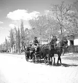 Häst med vagn i Ungern. Tjeckoslovakien-Ungern-Österrike 1935.