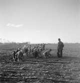 Den svarta jorden i Ungern. Tjeckoslovakien-Ungern-Österrike 1935.