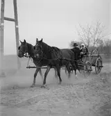 Häst och vagn i Alsódabas. Orten heter idag Dabas. Tjeckoslovakien-Ungern-Österrike 1935.