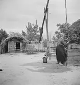 Vid brunnen. Ungern. Tjeckoslovakien-Ungern-Österrike 1935.