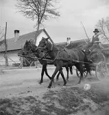 Häst med vagn. Ungern. Tjeckoslovakien-Ungern-Österrike 1935.