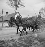 Häst med vagn. Ungern. Tjeckoslovakien-Ungern-Österrike 1935.