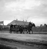 Häst och vagn i Ungern. Tjeckoslovakien-Ungern-Österrike 1935.