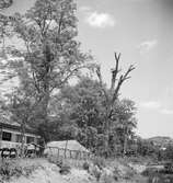 En by i närheten av Balatonsjön, Ungern. Tjeckoslovakien-Ungern-Österrike 1935.