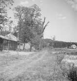 En by i närheten av Balatonsjön, Ungern. Tjeckoslovakien-Ungern-Österrike 1935.