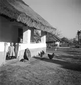 Bebyggelse i Vörs. Tjeckoslovakien-Ungern-Österrike 1935.