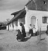 Flickor utanför ett hus i Vörs. Tjeckoslovakien-Ungern-Österrike 1935.