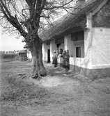 Ett familjeporträtt vid ett hus i Vörs. Tjeckoslovakien-Ungern-Österrike 1935.