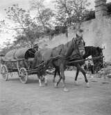 En häst med vagn. Vagnen är lastad med tunnor. Tjeckoslovakien-Ungern-Österrike 1935.
