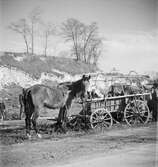 Vägarnas folk. Ungern. Tjeckoslovakien-Ungern-Österrike 1935.