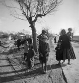 Vägarnas folk. Ungern. Tjeckoslovakien-Ungern-Österrike 1935.