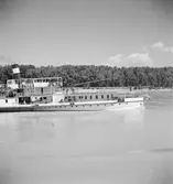 På Donau. En borgruin. Kan vara i närheten av Bratislava? Tjeckoslovakien-Ungern-Österrike 1935.