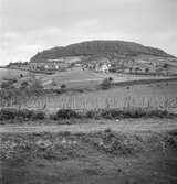 På Donau. Tjeckoslovakien-Ungern-Österrike 1935.