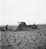 Huset byggs. Ungern. Tjeckoslovakien-Ungern-Österrike 1935.
