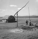 I Ungern? Tjeckoslovakien-Ungern-Österrike 1935.