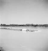 Timmerflottning på Donau. Bratislava? Tjeckoslovakien-Ungern-Österrike 1935.