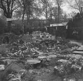 Trädgårdsutställning i Gent. Tyskland-Holland-Belgien 1938.