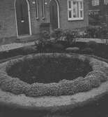 En trädgård i Aalsmeer. Tyskland-Holland-Belgien 1938.