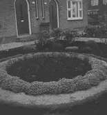 En trädgård i Aalsmeer. Tyskland-Holland-Belgien 1938.