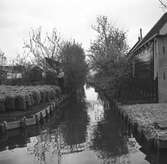 En kanal i Aalsmeer. Tyskland-Holland-Belgien 1938.