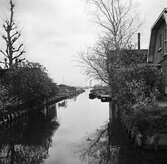 I Aalsmeer. Hus vid kanalen. Tyskland-Holland-Belgien 1938.