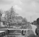 Bebyggelse vid en kanal i Aalsmeer. Tyskland-Holland-Belgien 1938.