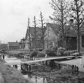 Bebyggelse vid en kanal i Aalsmeer. Tyskland-Holland-Belgien 1938.