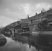 Hus vid en kanal i Aalsmeer. Tyskland-Holland-Belgien 1938.