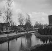 En kanal i Aalsmeer. Tyskland-Holland-Belgien 1938.