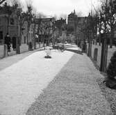 I Noordwijk-Binnen. Tyskland-Holland-Belgien 1938.