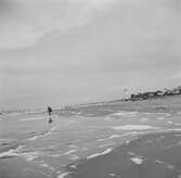 Havet vid Noordwijk aan Zee. Tyskland-Holland-Belgien 1938.