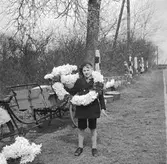 Vid vägen nära Noordwijk. Tyskland-Holland-Belgien 1938.