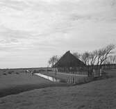 Vid Zuiderzee? (nuvarande IJsselmeer). Tyskland-Holland-Belgien 1938. IJsselmeer är en insjö i Nederländerna som uppstod genom uppförandet av en dammbyggnad i Zuiderzee, en vik av Nordsjön.