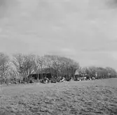 Vid Zuiderzee, (nuvarande IJsselmeer). Tyskland-Holland-Belgien 1938. IJsselmeer är en insjö i Nederländerna som uppstod genom uppförandet av en dammbyggnad i Zuiderzee, en vik av Nordsjön.