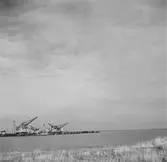 Vid Zuiderzee, (nuvarande IJsselmeer). Tyskland-Holland-Belgien 1938. IJsselmeer är en insjö i Nederländerna som uppstod genom uppförandet av en dammbyggnad i Zuiderzee, en vik av Nordsjön.