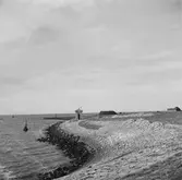 Vid Zuiderzee, (nuvarande IJsselmeer). Tyskland-Holland-Belgien 1938. IJsselmeer är en insjö i Nederländerna som uppstod genom uppförandet av en dammbyggnad i Zuiderzee, en vik av Nordsjön.