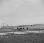 Vid Zuiderzee, (nuvarande IJsselmeer). Tyskland-Holland-Belgien 1938. IJsselmeer är en insjö i Nederländerna som uppstod genom uppförandet av en dammbyggnad i Zuiderzee, en vik av Nordsjön.