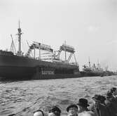 Deutsche Werfts varvsanläggningar i Hamburg. Tyskland-Holland-Belgien 1938.